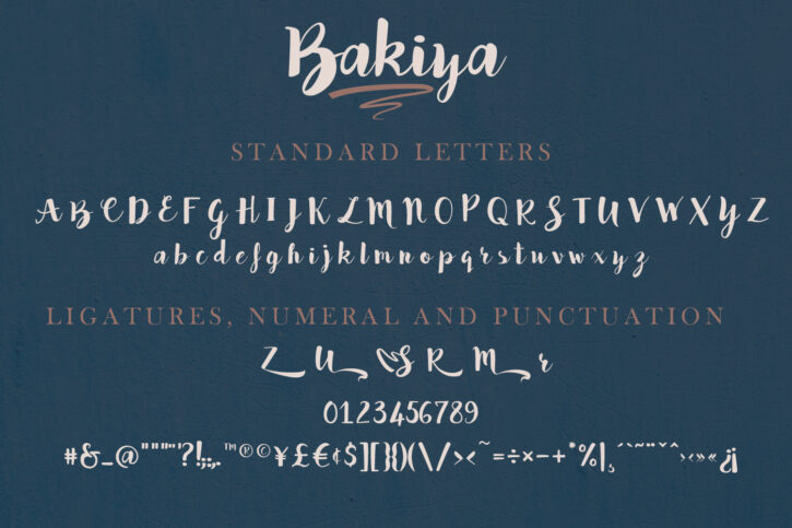Bakiya preview pic 02 Bakiya | Handwritten Brush Font