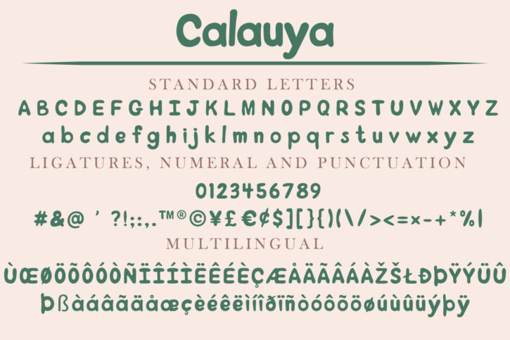 CalauyaPreview 02 Calauya | A Brush Style Font