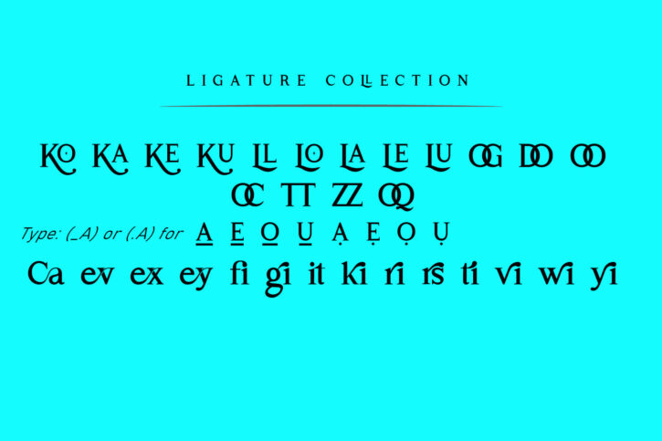 Sofimaria Preview 11 1 Sofimaria | Elegant Modern Serif font