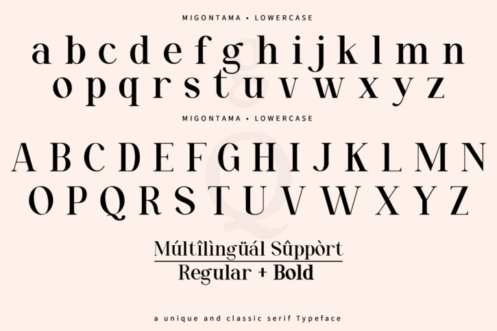 17 Migontama | Stylish font full of stunning alternates