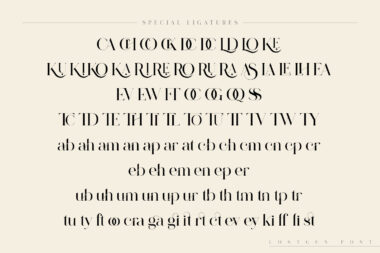Lostgun Preview 17 1 Lostgun | Stunning Serif Typeface