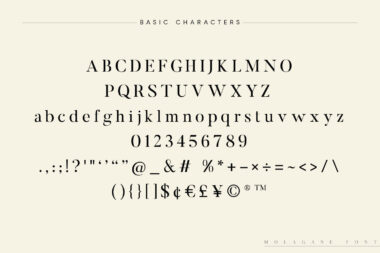 Molagane Preview 13 Molagane | Fancy Serif Typeface