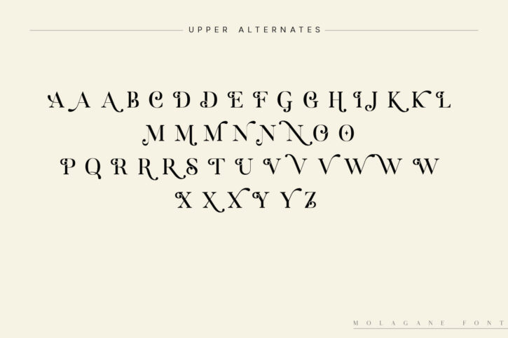 Molagane Preview 14 Molagane | Fancy Serif Typeface