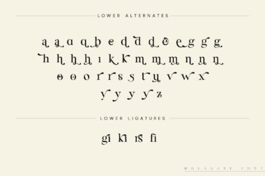 Molagane Preview 15 Molagane | Fancy Serif Typeface