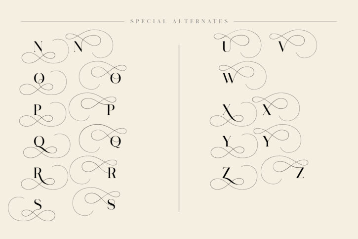 Preview 19 Lostgun Plus | Stylish Typeface